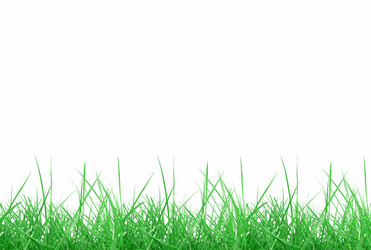 Similar image 1340167