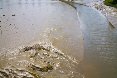 Similar image 1340377