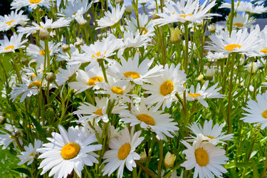 Similar image 1340380