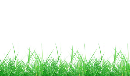 Similar image 1340513