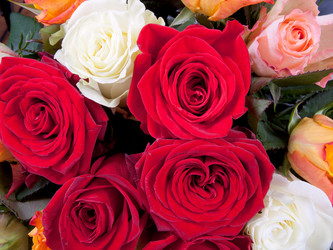 Similar image 1340577