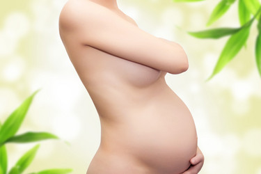 Similar image 1340589