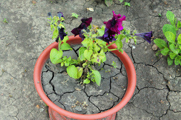 Similar image 1340619