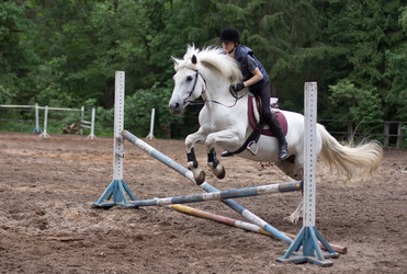 Similar image 1340621