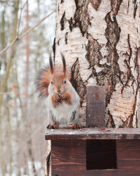 Similar image 1340622