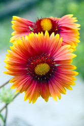 Similar image 1340625