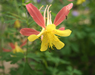 Similar image 1340635