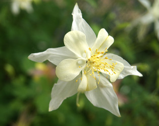 Similar image 1340636