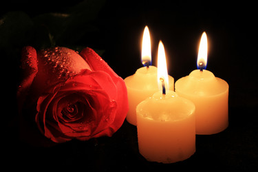 Similar image 1340663