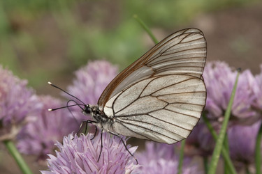 Similar image 1340665