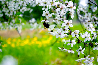 Similar image 1340678