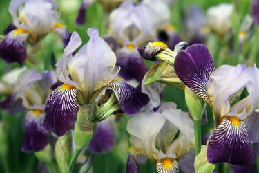 Similar image 1340684