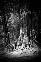 Similar image 1340686