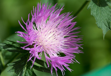 Similar image 1340688