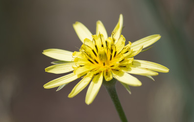 Similar image 1340690