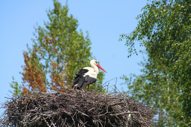 Similar image 1340698