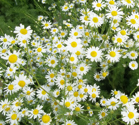 Similar image 1340699