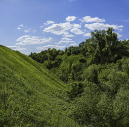 Similar image 1340712