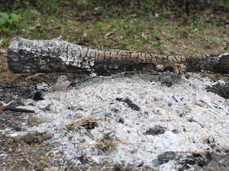 Similar image 1340716