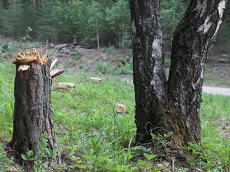 Similar image 1340717