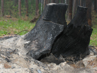 Similar image 1340718