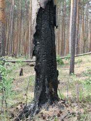 Similar image 1340719