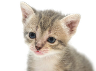 Similar image 1340720