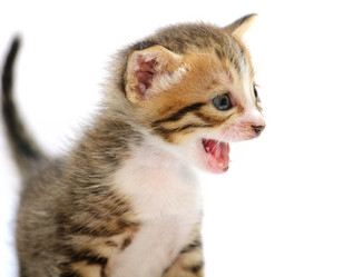 Similar image 1340721