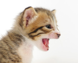 Similar image 1340722