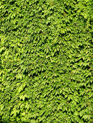 Similar image 1340730