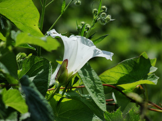 Similar image 1340740