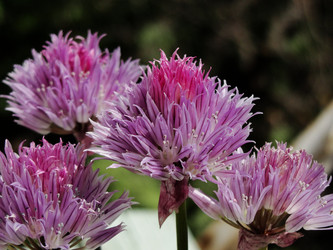 Similar image 1340741