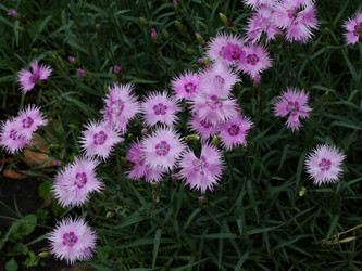 Similar image 1340743