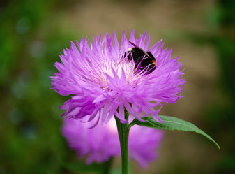 Similar image 1340813