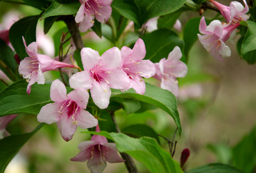 Similar image 1340814