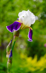 Similar image 1340815