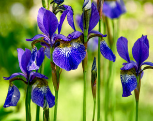 Similar image 1340816