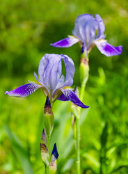 Similar image 1340817