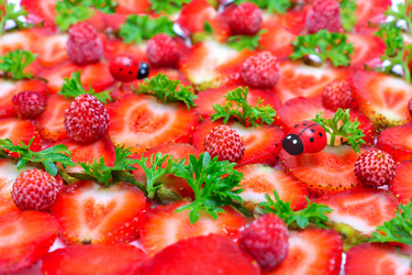 Similar image 1340832