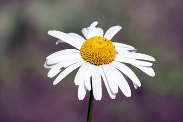 Similar image 1340837