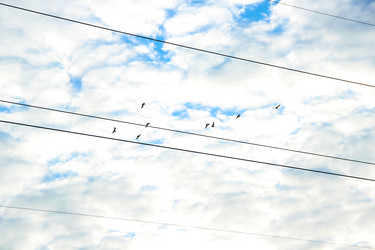 Similar image 1340838