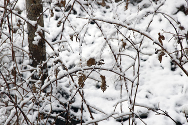 Similar image 1340839