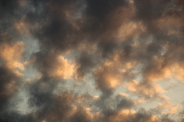 Similar image 1340841