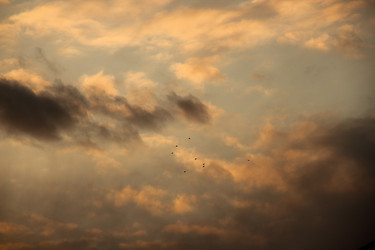 Similar image 1340842