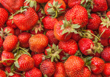 Similar image 1340867