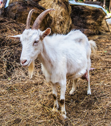 Similar image 1340869