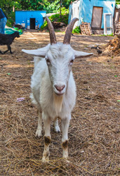 Similar image 1340870