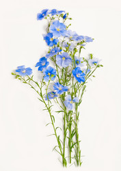 Similar image 1340874