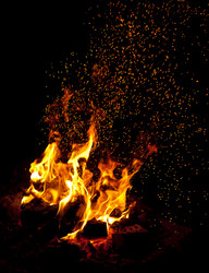 Similar image 1340875