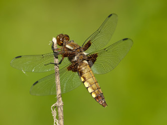 Similar image 1340876